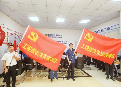 國(guó)家電投北京新能源與北京宏信組建海南工程建設(shè)聯(lián)合黨支部，共筑清潔能源新篇章